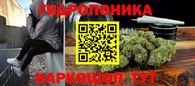 мяу мяу мука Малгобек